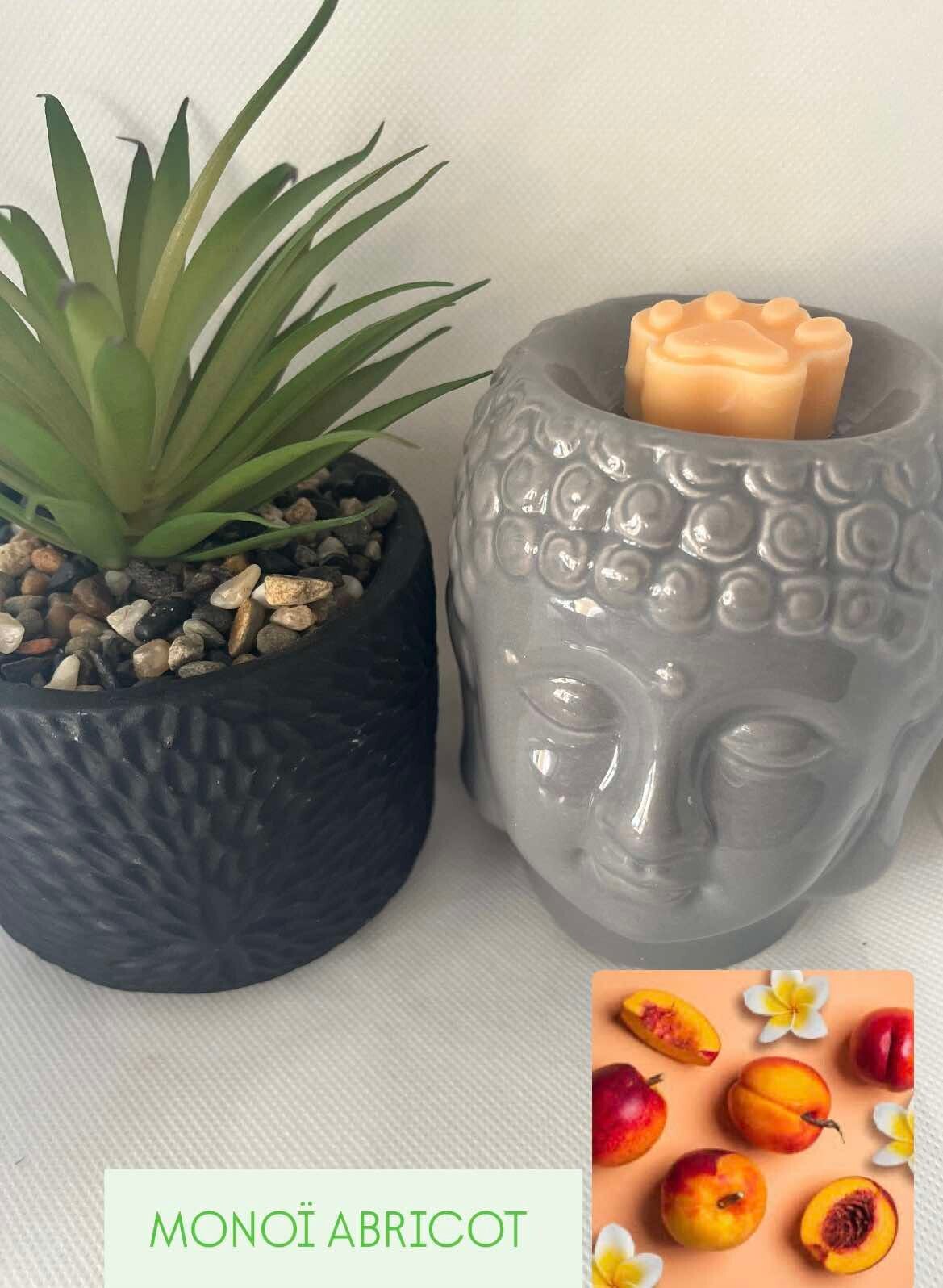 Fondant parfumé MONOI ABRICOT