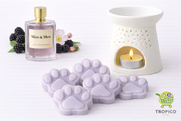 Fondant parfumé MURE MUSC