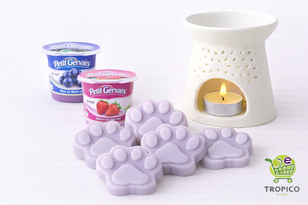 Fondant parfumé PETIT GERVAIS