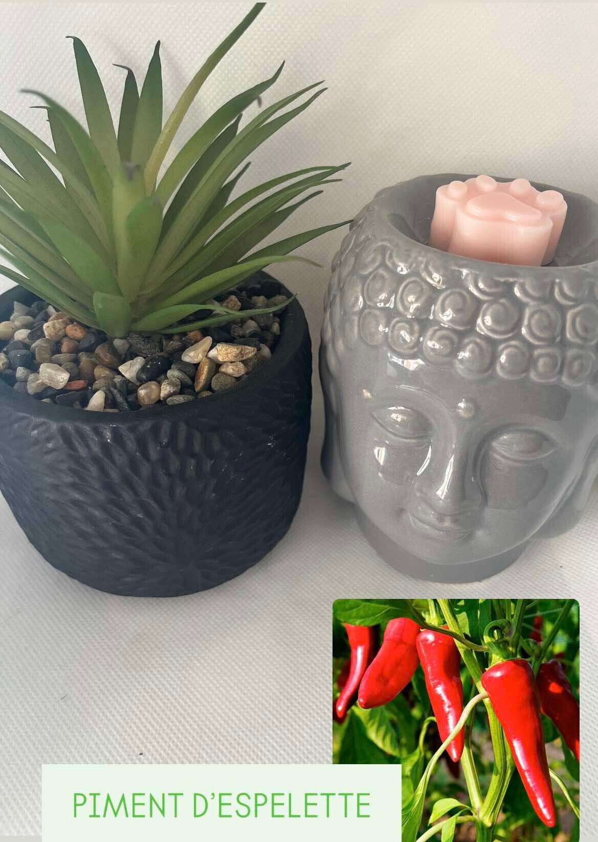 Fondant parfumé PIMENT D'ESPELETTE