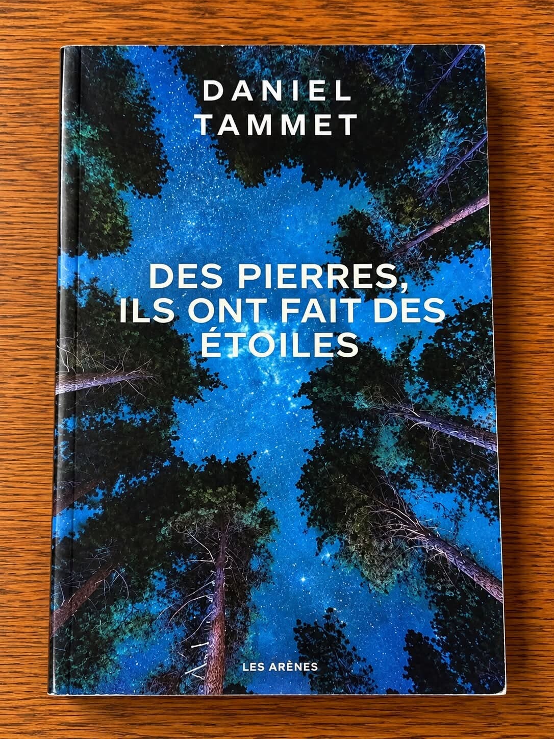 Des pierres ils ont fait des étoiles - Daniel Tammet