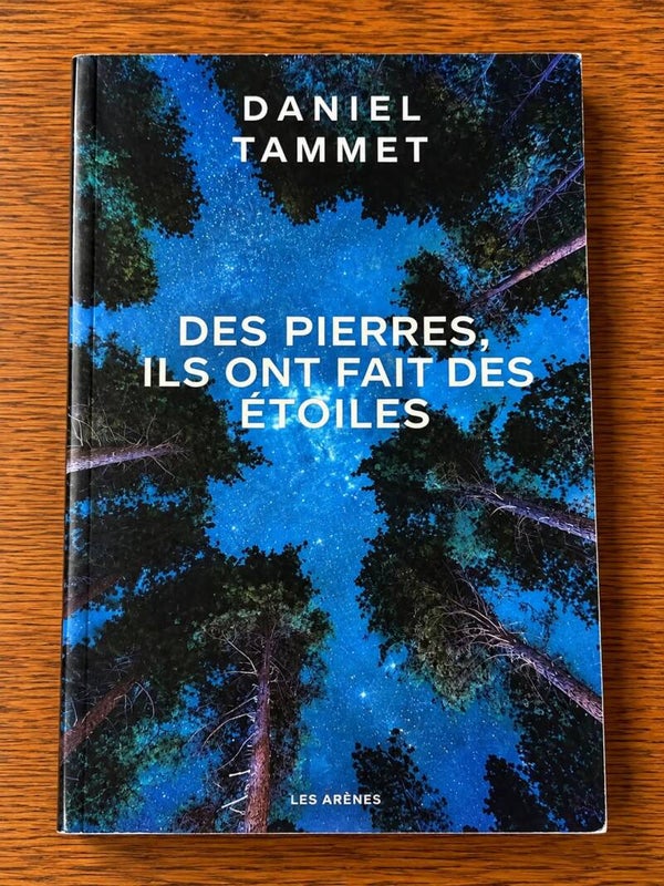 Des pierres ils ont fait des étoiles - Daniel Tammet