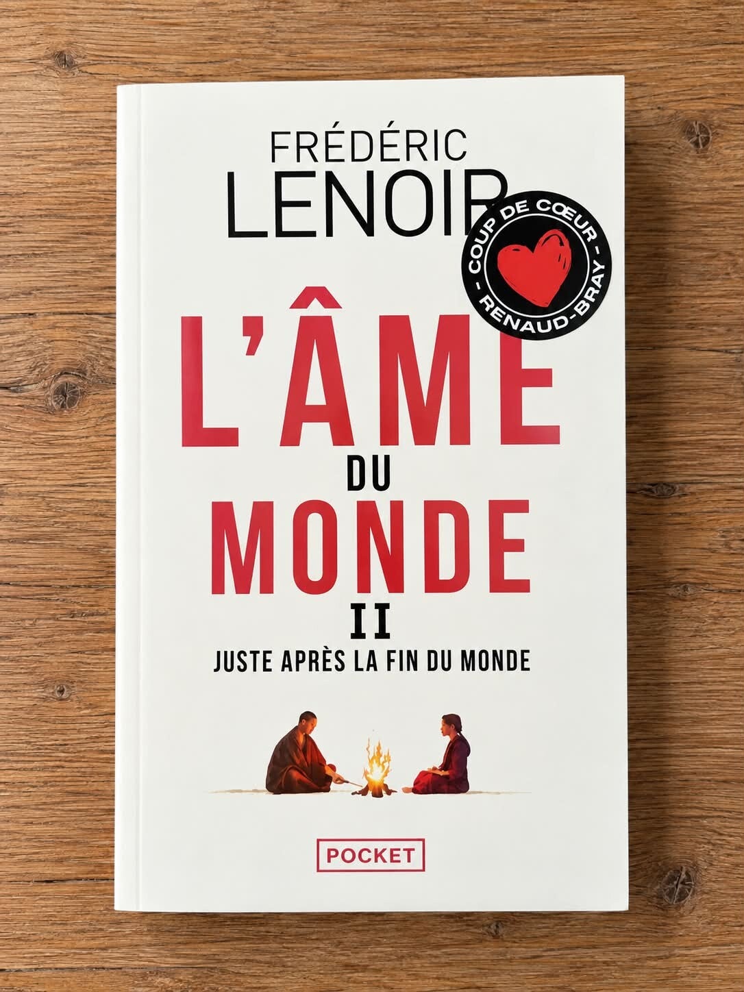 L'âme du monde ll - Frédéric Lenoir