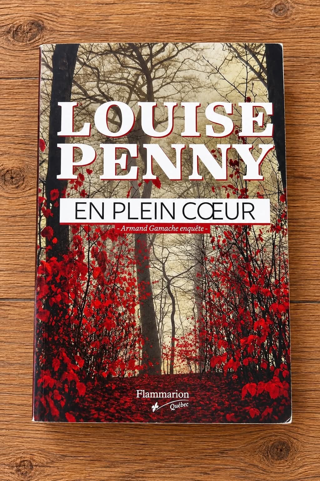 En plein coeur - Louise Penny