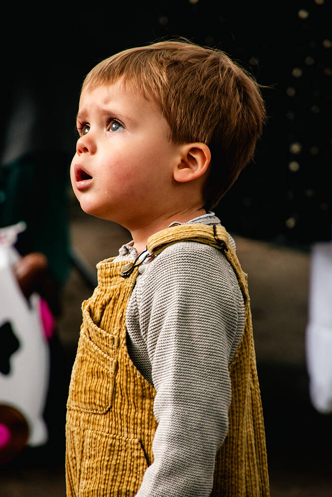 Straatfeesten Kalmthout