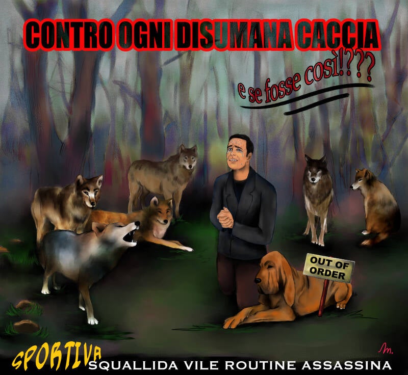 caccia-standard.jpg