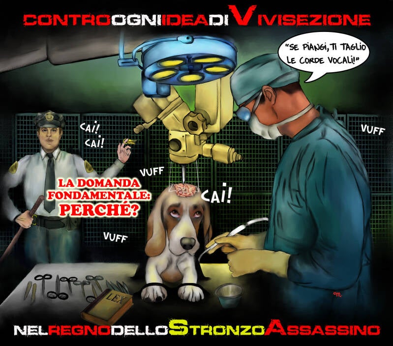 vivisezione-standard.jpg