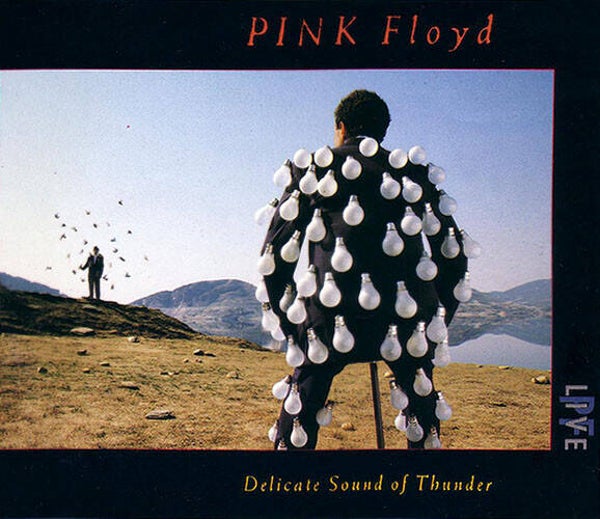 Pink Floyd ‎– Delicate Sound Of Thunder