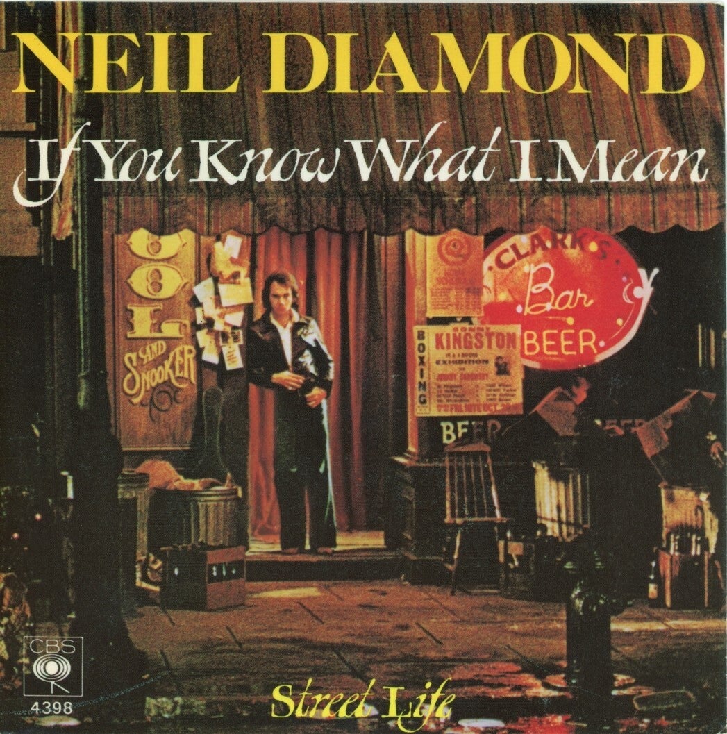 Neil Diamond – If You Know What I Mean