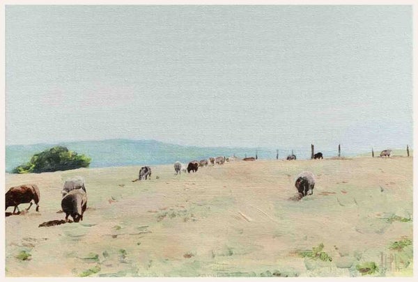 Plateau van Margraten
