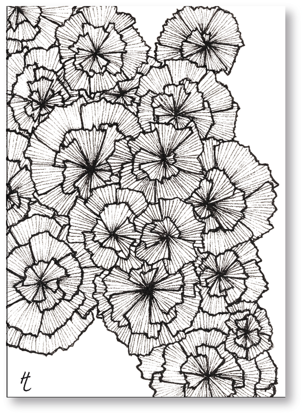 MF - bloemen