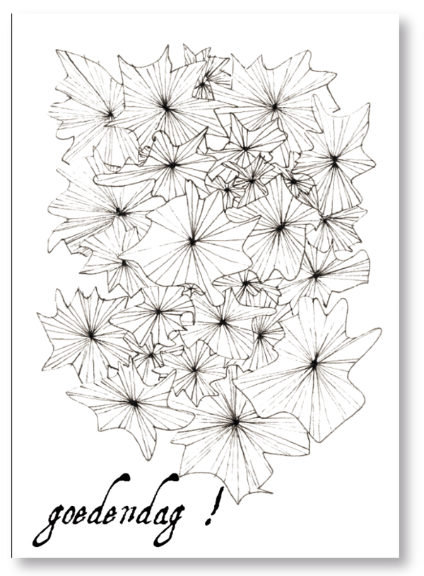 MF - boeket 'goedendag'