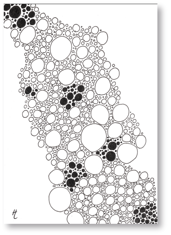 MF - cirkels wit en zwart