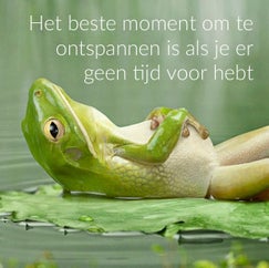 Het beste moment om te ontspannen is als je er geen tijd voor hebt