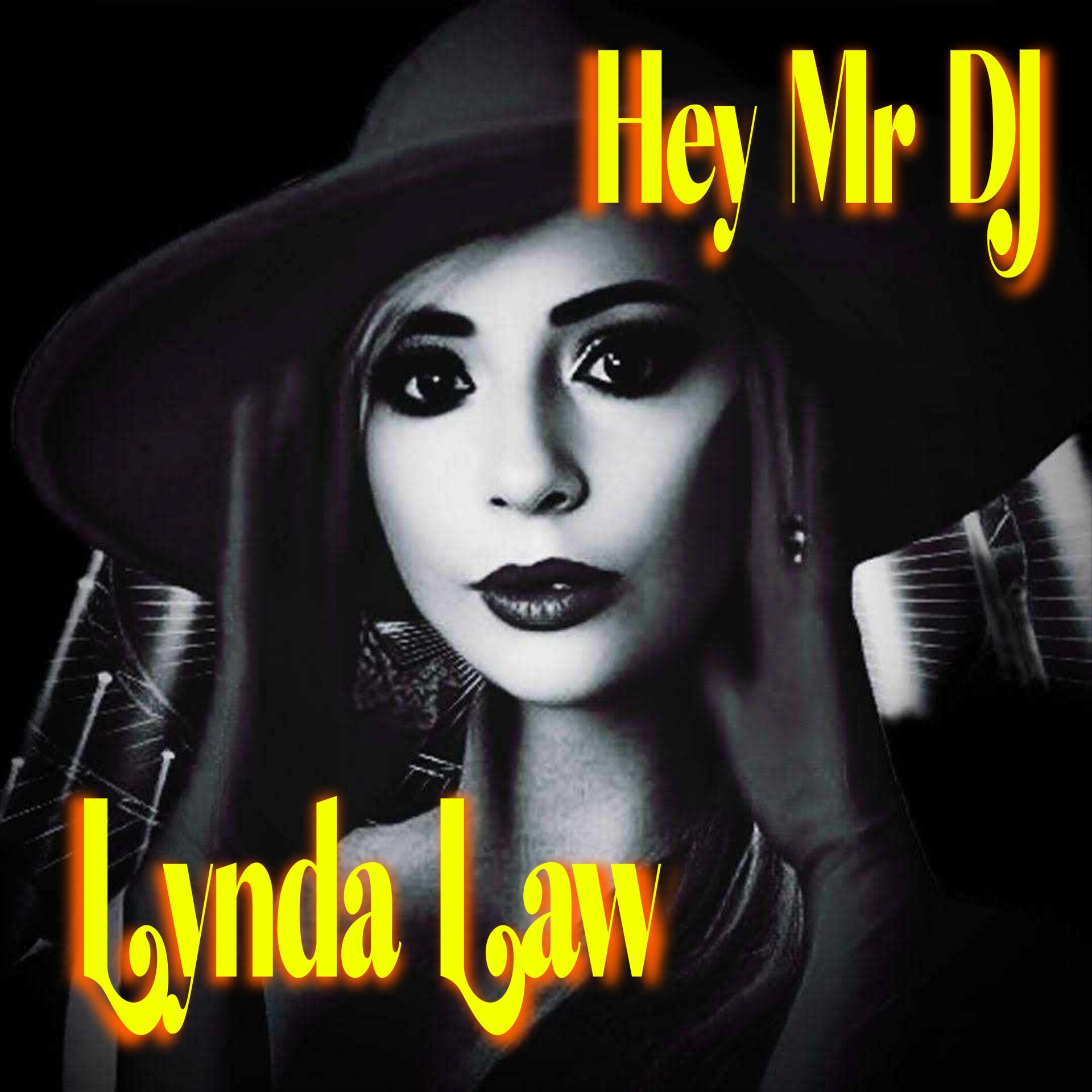 music cover hey mr dj