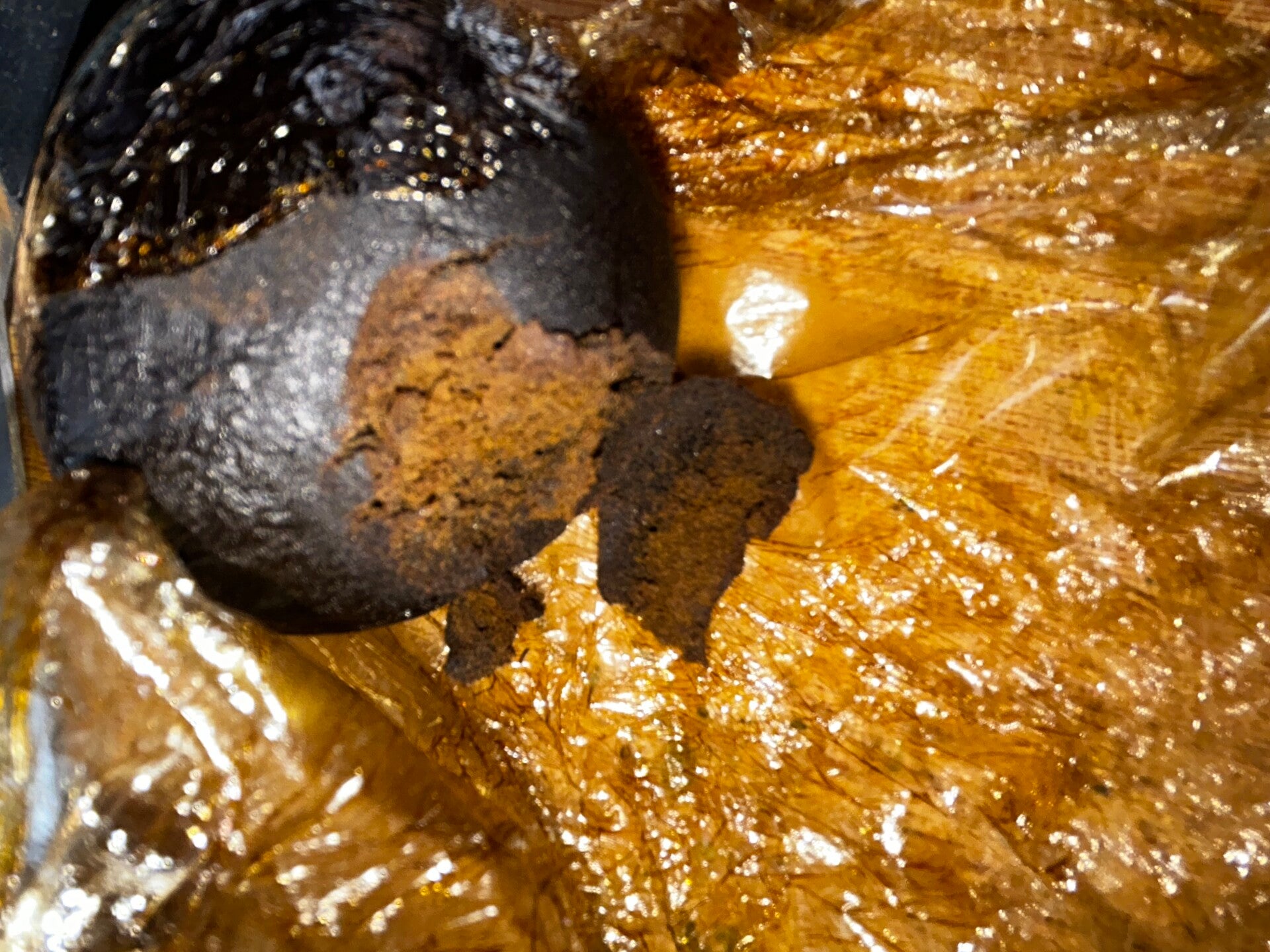 CHARAS Résine Vrac CBD 45 % , Thc - 0,3%