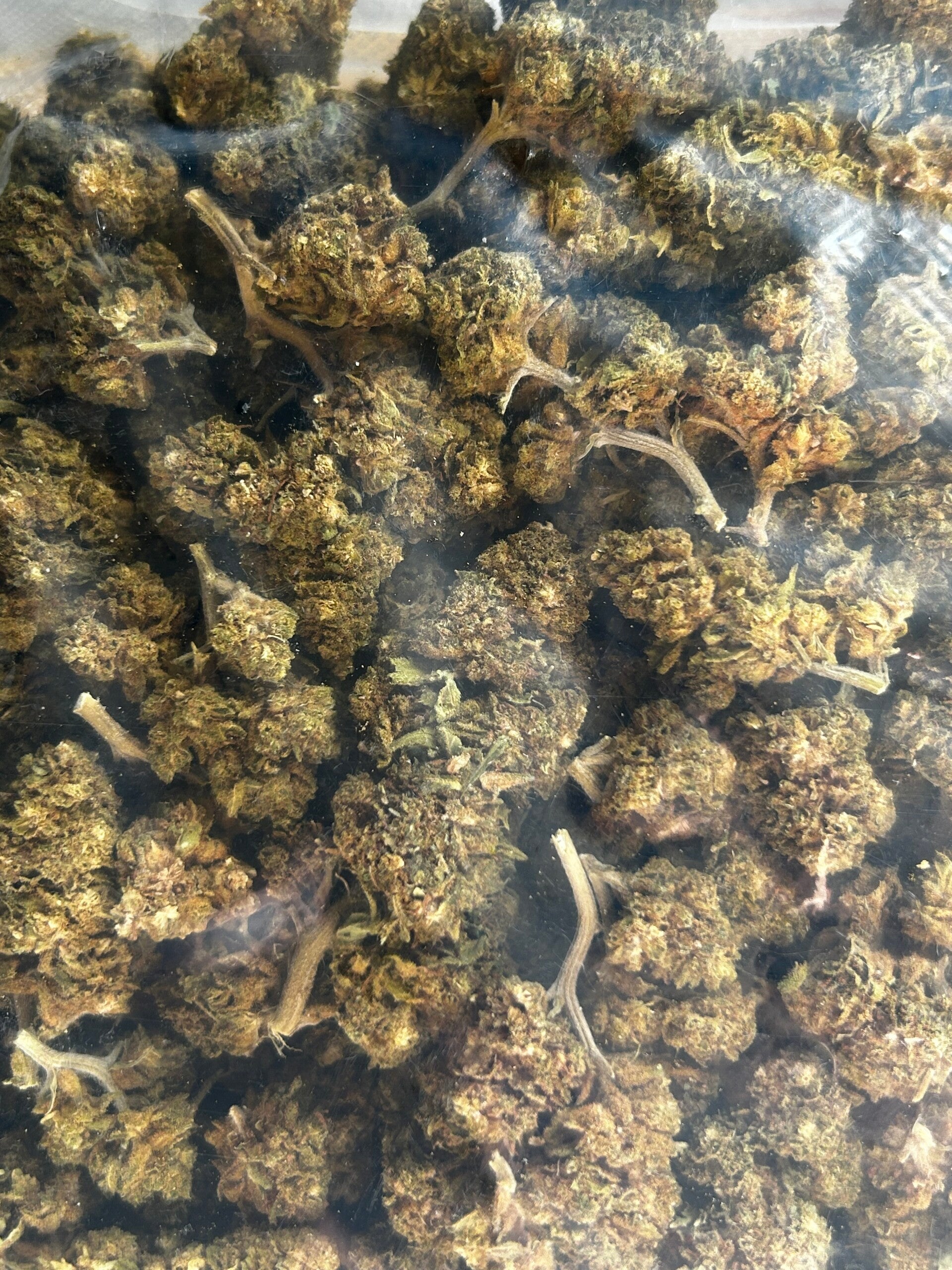 WATERMELON Fleur CBD 13% , Thc 0,2%