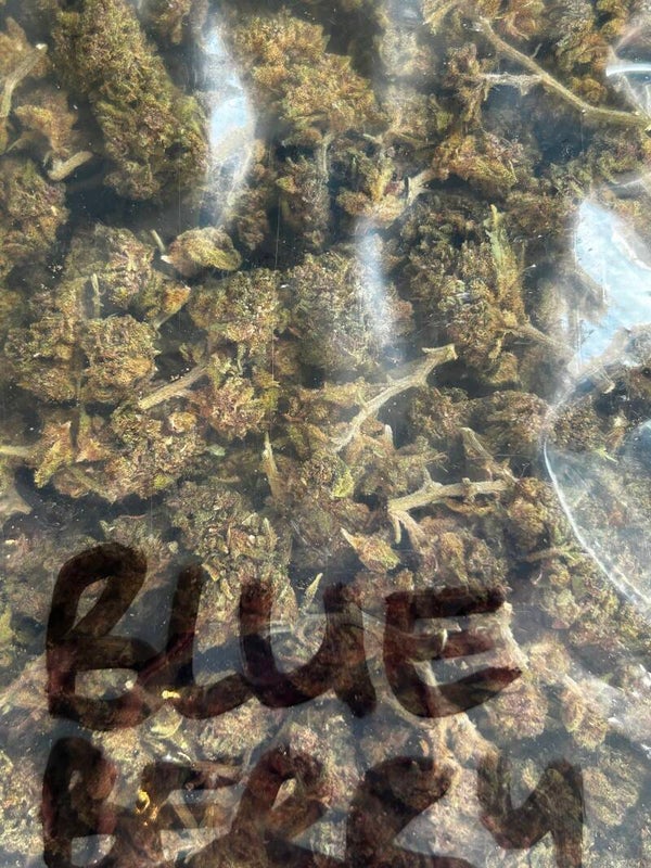 BLUEBERRY , Fleur CBD 11% , Thc -0,2%