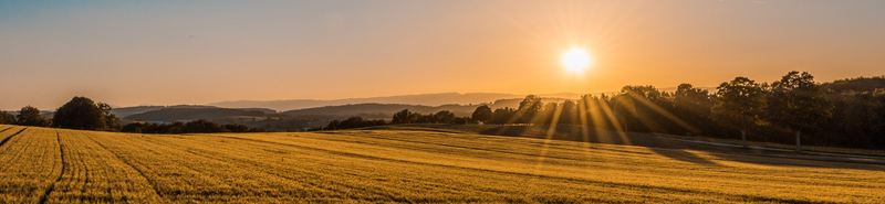 Opkomende zon boven veld als symbool voor nieuw begin en heling bij rouw via hypnose