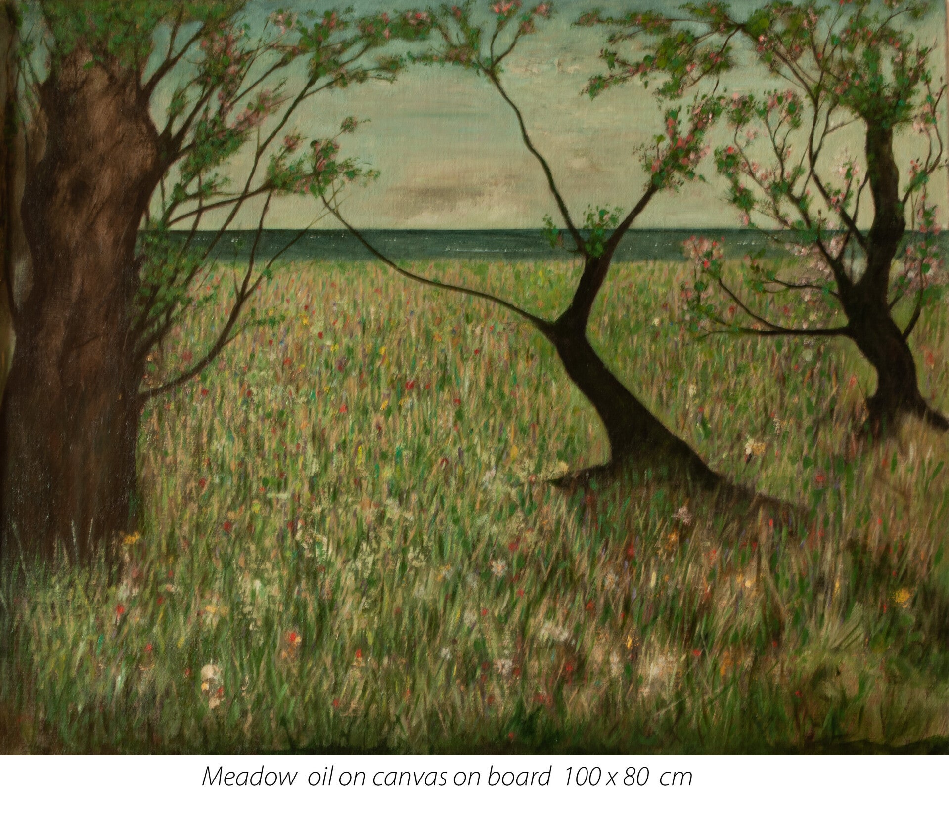 meadow