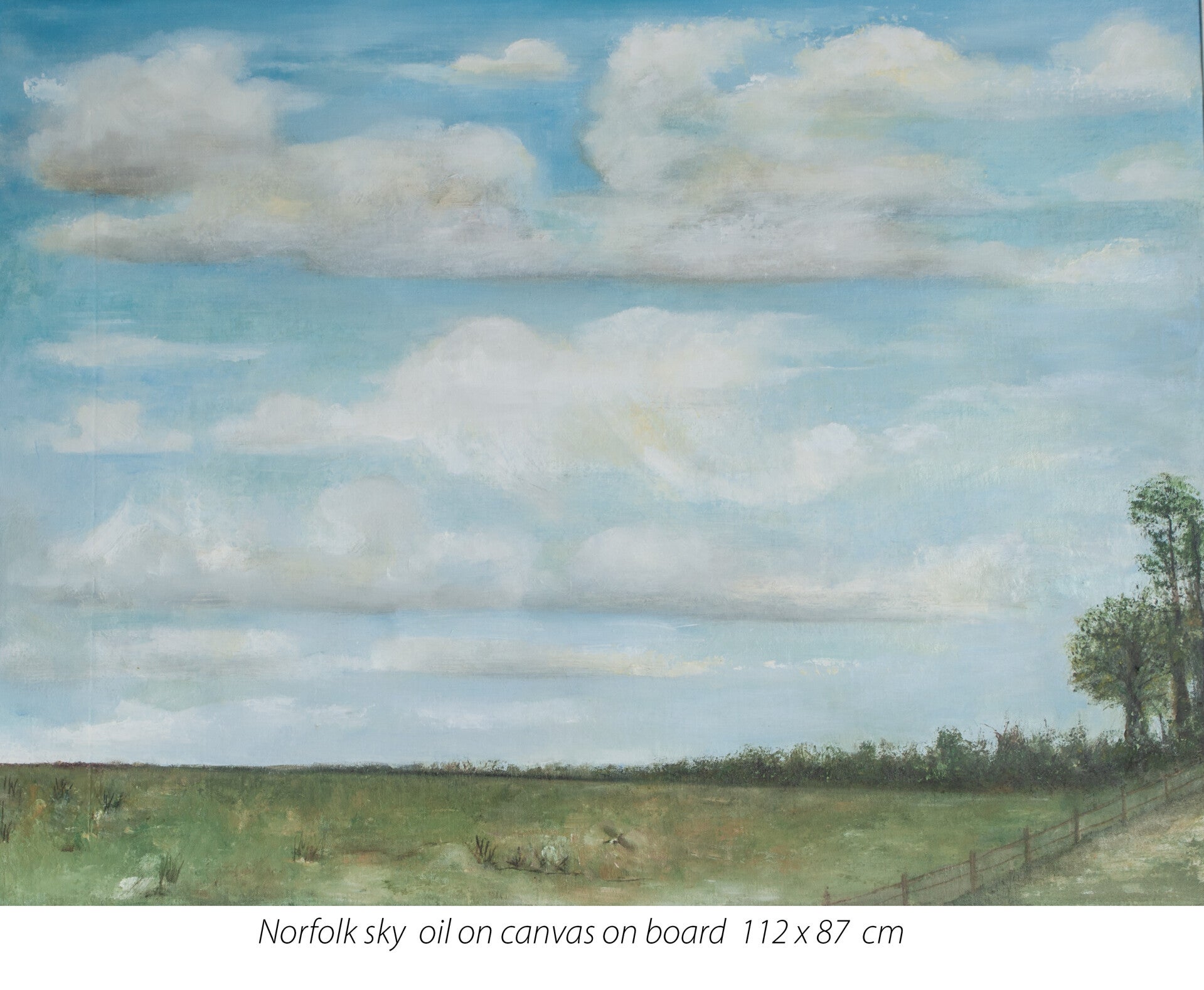 Norfolk sky