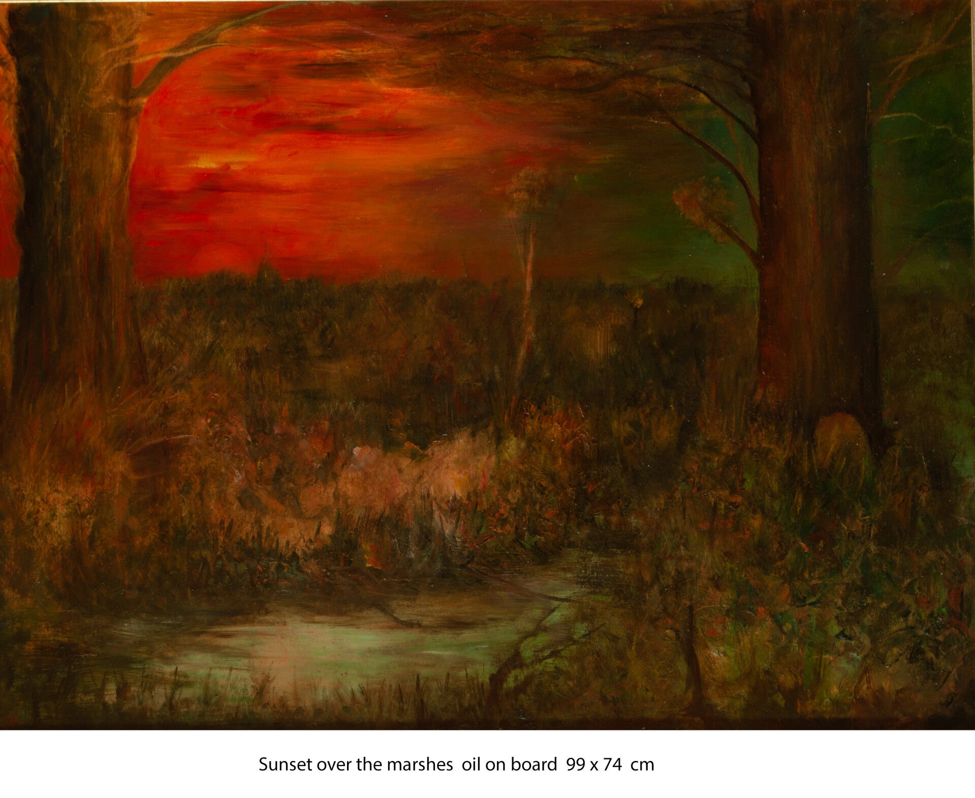 Sunset over the marshes