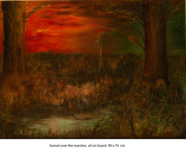 Sunset over the marshes