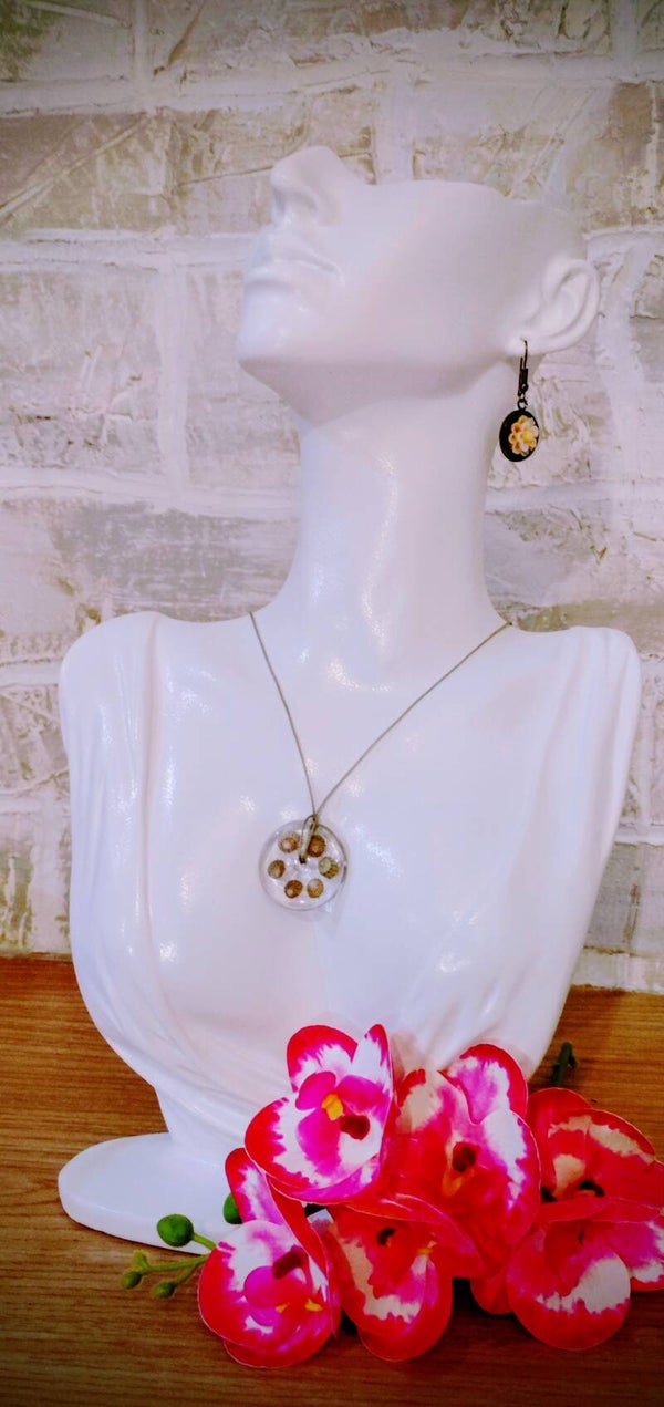 Collier rond coquillage naturels