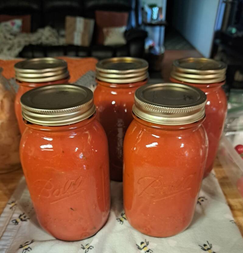 5 jars of tomato sauce