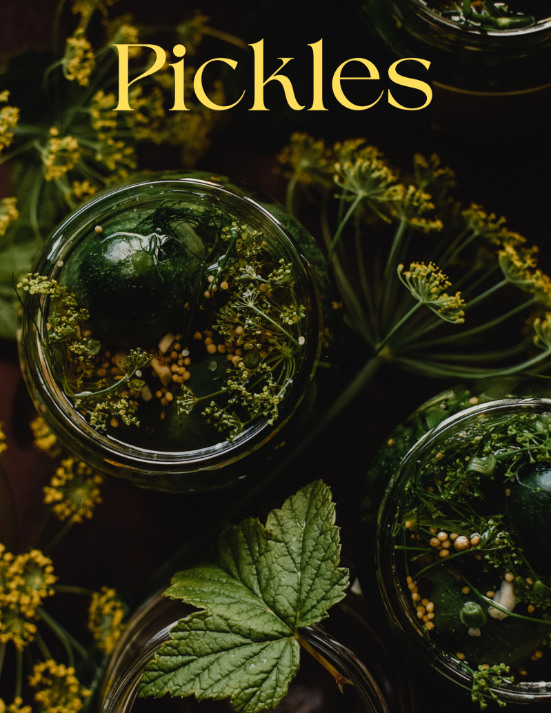 photo of jars of pickles and dill