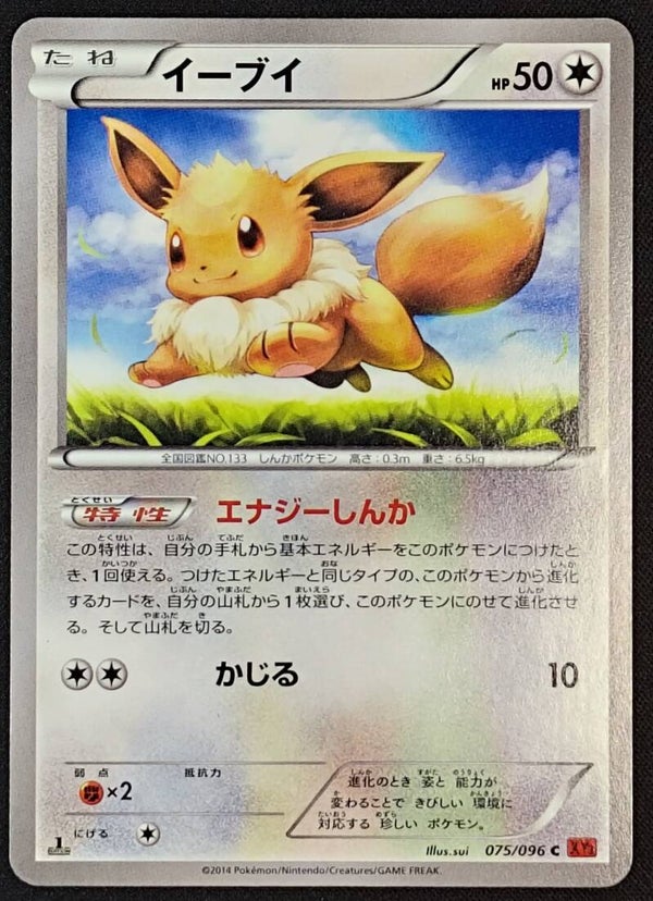 EEVEE 2014 POKEMON JAPANESE XY RISING FIST #075/096 - 1ST EDITION - COMMON - Shadow TCG