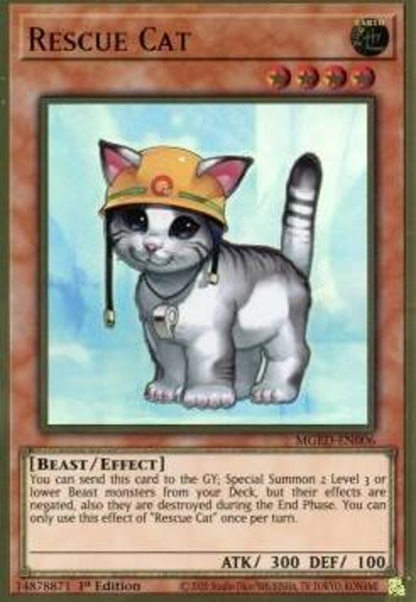 790 Rescue Cat