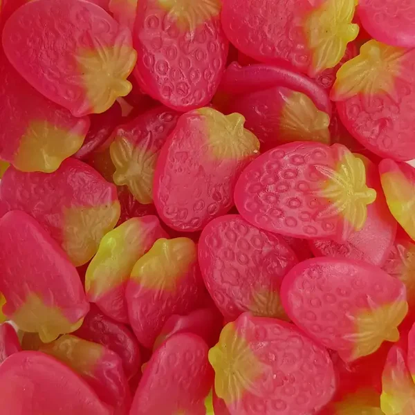 (23) Frisia Fraise Géante par 100 G
