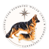 NORTH STAR PEMBROKE WELSH CORGI'S