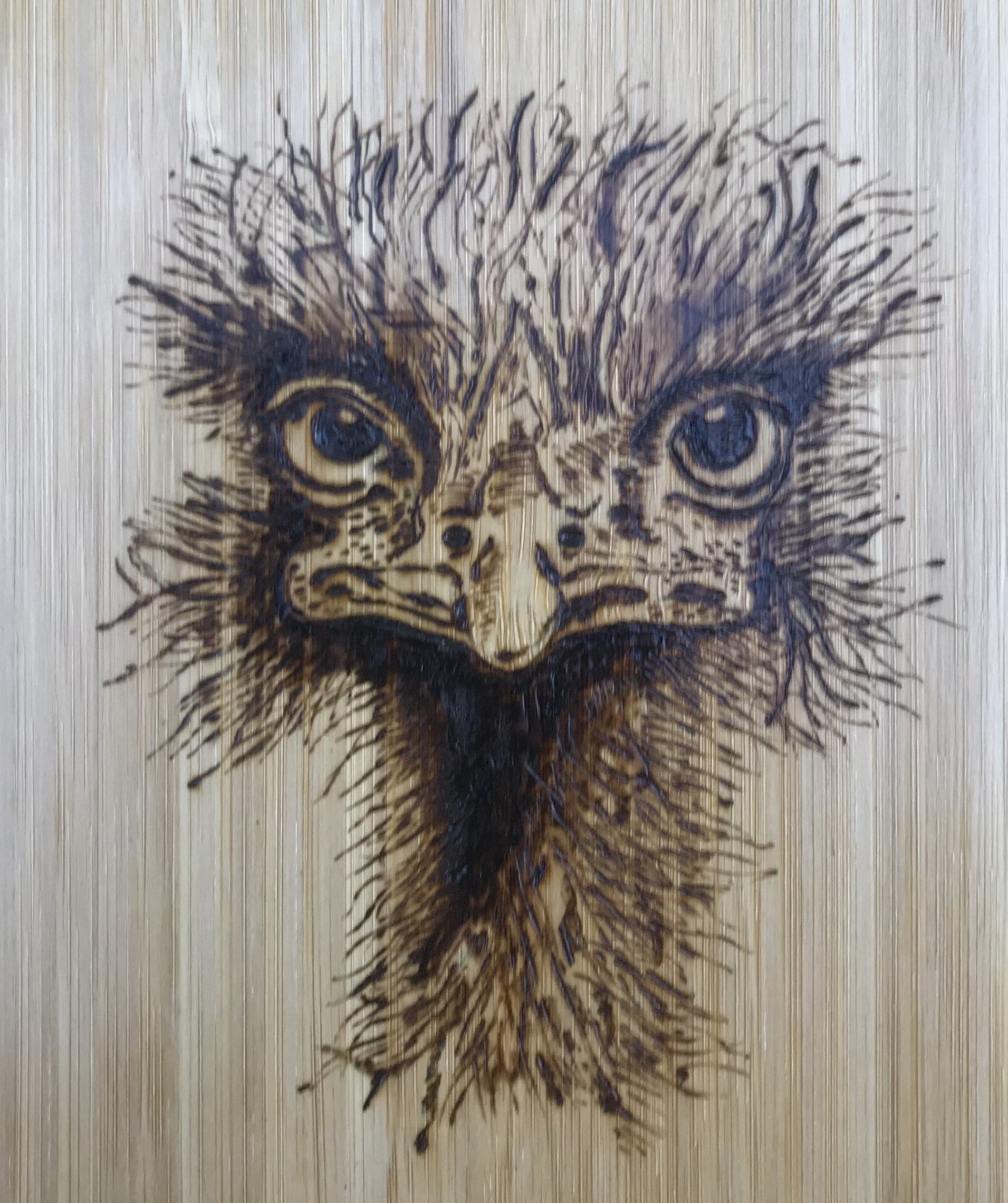 Borrelplank Struisvogel