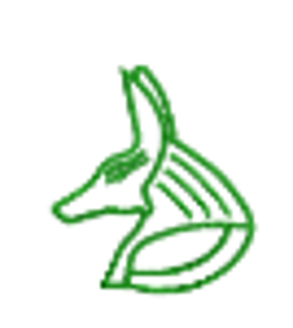 GREEN EMBROIDERY