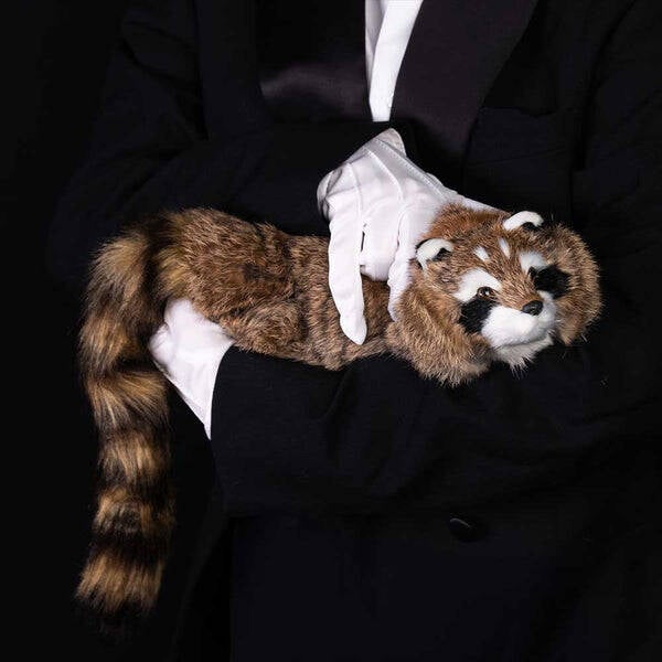 REALITY RACCOON (Super Flex Neck - Magic Spring Animal)