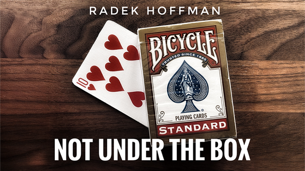 Not Under the Box by Radek Hoffman