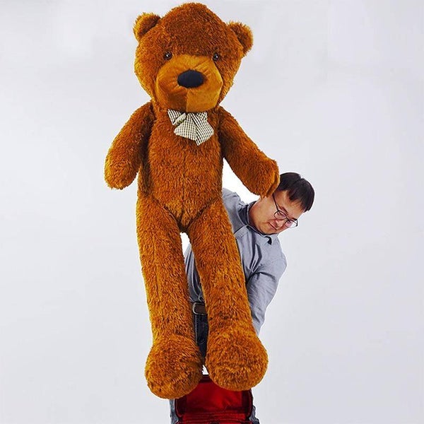 Appearing Teddy Bear - Large