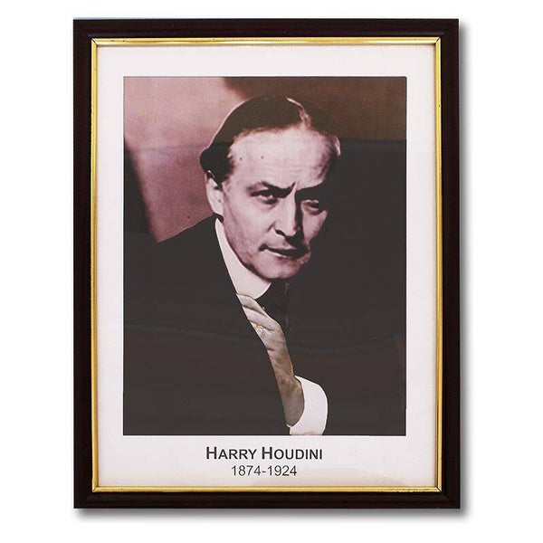 Houdini Prediction Frame