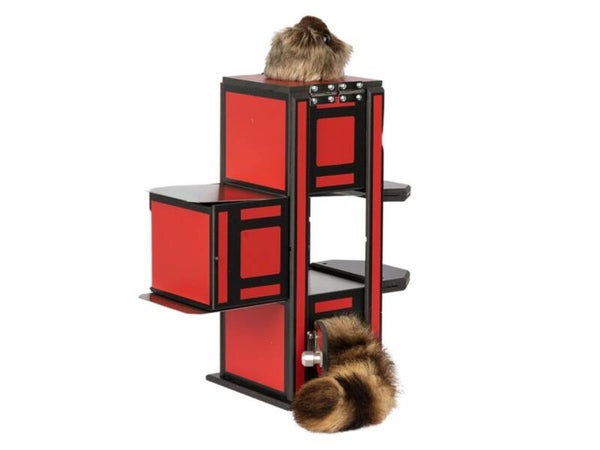 ZIG-ZAG ROCKY RACCOON