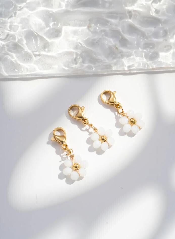 fleur petales blanches