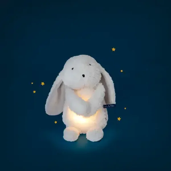 Lapin lumineux