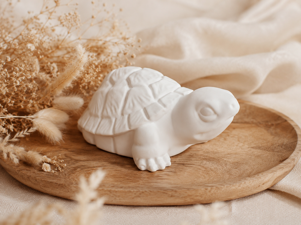 Timo de Schildpad – Grote Keramische Decoratie Schildpad