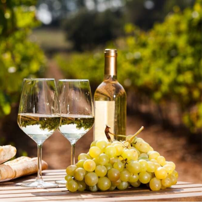 Vin Blanc sélection du Moment 70cl