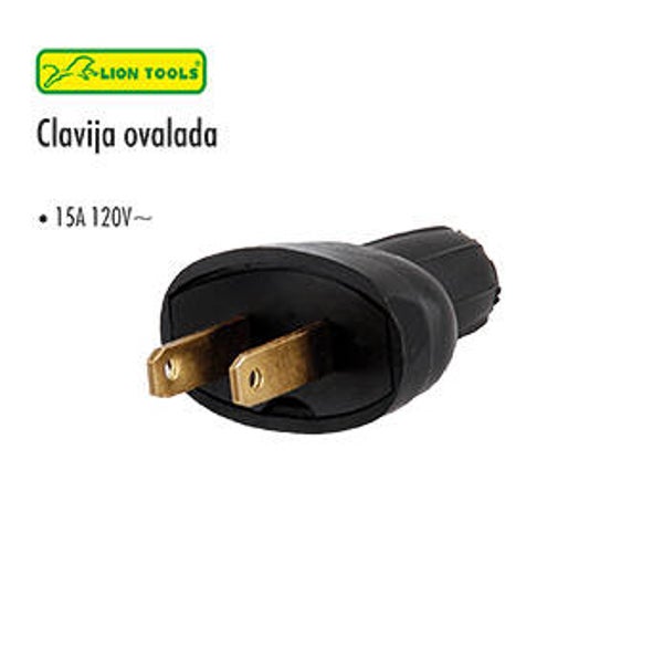 CLAVIJA OVALADA
