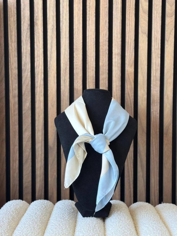 𝗦𝗝𝗔𝗔𝗟 𝗟𝗜𝗖𝗛𝗧 𝗕𝗟𝗔𝗨𝗪