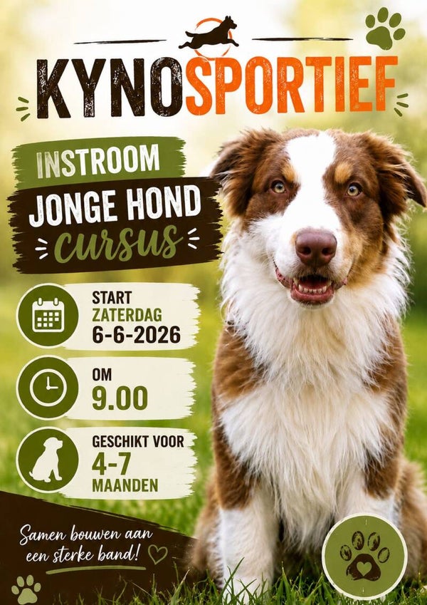 Zaterdag 20 juni om 9:00 uur JongeHond cursus (Instroom lessen)