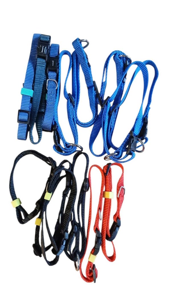 G Puppy halsbandjes bl-zw en rd  partij 15 stuks