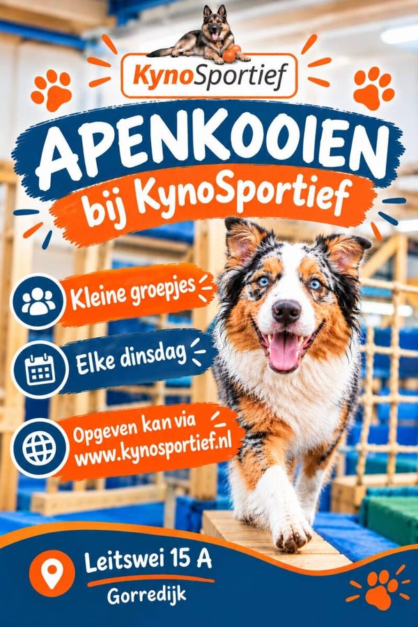 Dinsdag Apenkooiendag bij KynoSportief
